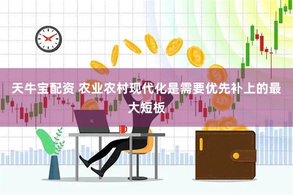 天牛宝配资 农业农村现代化是需要优先补上的最大短板
