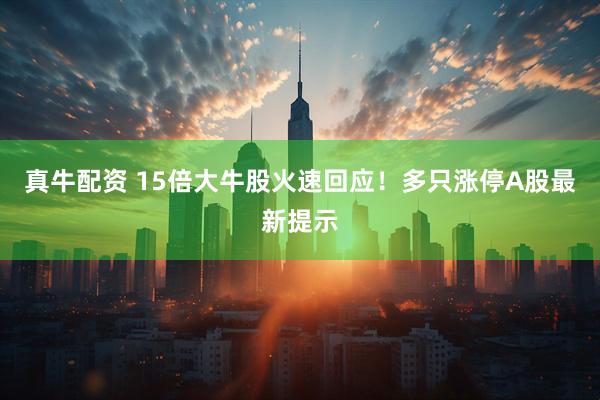 真牛配资 15倍大牛股火速回应！多只涨停A股最新提示