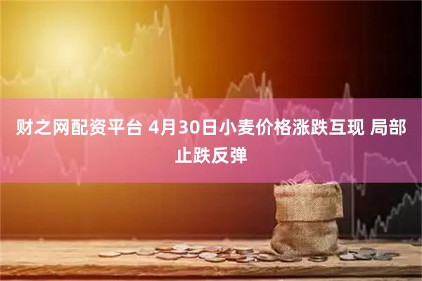 财之网配资平台 4月30日小麦价格涨跌互现 局部止跌反弹